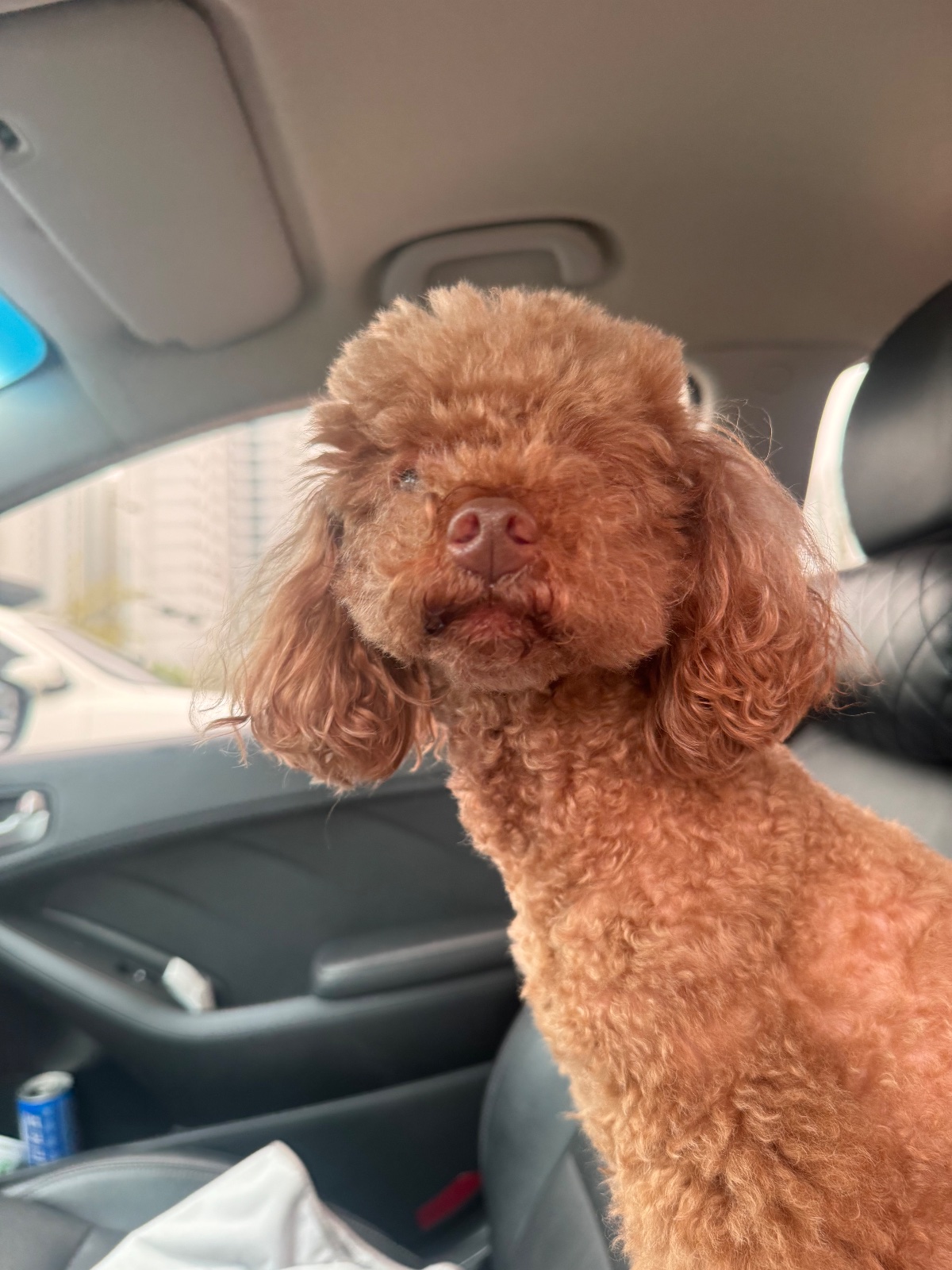 나도 당구장 데려가